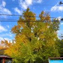 하곡 경로당 이미지