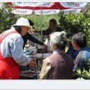 반디농장 이미지