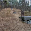 기응세선생묘 이미지