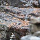 솔향이 진한 이미지