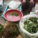 섬진강 레일바이크 이미지