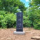 어비산 Daum카페