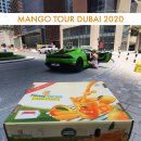 슈퍼카서비스 이미지