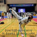 흑룡 합기도 이미지