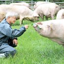 성지농장 이미지