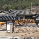 일소리조