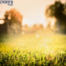 K비젼안경(진해점) 이미지