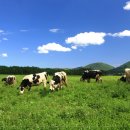 이시돌목장 이미지