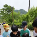 청사태권도장 이미지