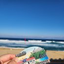 정동진역 | 아이동반 정동진 여행코스 : 정동진 레일바이크후기, 정동진역 주차