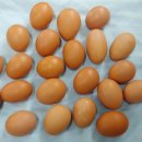 백운농장(2) 이미지