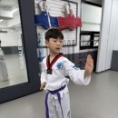 더바른태권도장 이미지