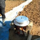 월명농장 이미지