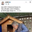 (속보) 문재인 강아지 사망!! 이미지