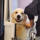 멍클스튜디오 이미지