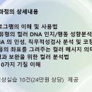 가족힐링,자녀성장마사지 이미지