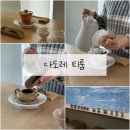 주주펫 | 다도레 티룸 연희동 찻집 티마카세 계절 한정 티코스 후기
