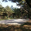 기회유원지 이미지