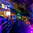 라스코동굴벽화 광명 동굴전 이미지