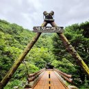 소백산국립공원 남천야영장 이미지