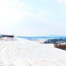 열린목장 이미지