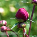 도동종합자동차정비 이미지