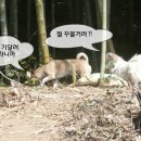 오늘산책 이미지