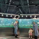 아쿠아가든카페 양재점 | 아쿠아가든일산 아이랑 가기좋은 대형카페 꿀팁후기