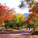 볼륨업카오디오 이미지