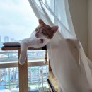 태화동물병원 이미지