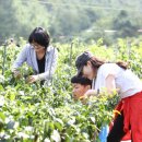 반딧길에서 네이버블로그