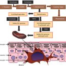 일산365온의원 이미지