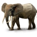 라이프 감정 코칭 이미지