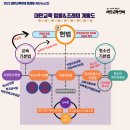 대안교육연대 법제화 카드뉴스(2)_대안교육 법률&조례의 계통도 이미지