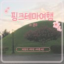 쌍문동청소년랜드 | 핑크 테마 여행 in 경주(Feat. 화랑)