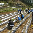 초천2리 이미지