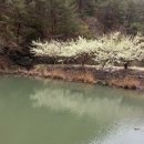 외씨버선길(영양연결구간) 이미지