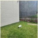 미스터홈즈공인중개사사무소 | 고양공인중개사 믿고 맡길 수 있는 부동산 경험, 미스터홈즈 고양삼송센터