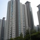수원-정자-정자-8 이미지