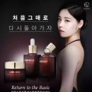 루미노스 이미지