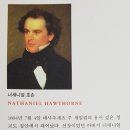 주홍코리아 이미지