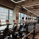 레온짐 | 깨끗한 시설, 전문적인 트레이닝, 혜택까지 다 누리고 싶다면 김해헬스장 레온짐 김해내외점