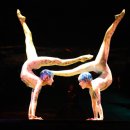 알레그리아 이미지