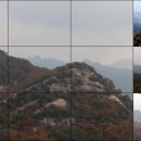 신길고 사거리 이미지