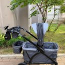 조코라인 이미지