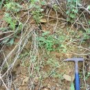 석영2호 | 강원 삼척,동해시의 신생대 퇴적분지