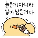탁구탁탁