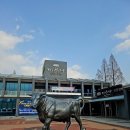 강진착한한우명품관 | [경주천년한우보문명품관]경주맛집 총총총=3