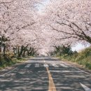 제주와봄 이미지