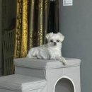 배방 유도관 이미지